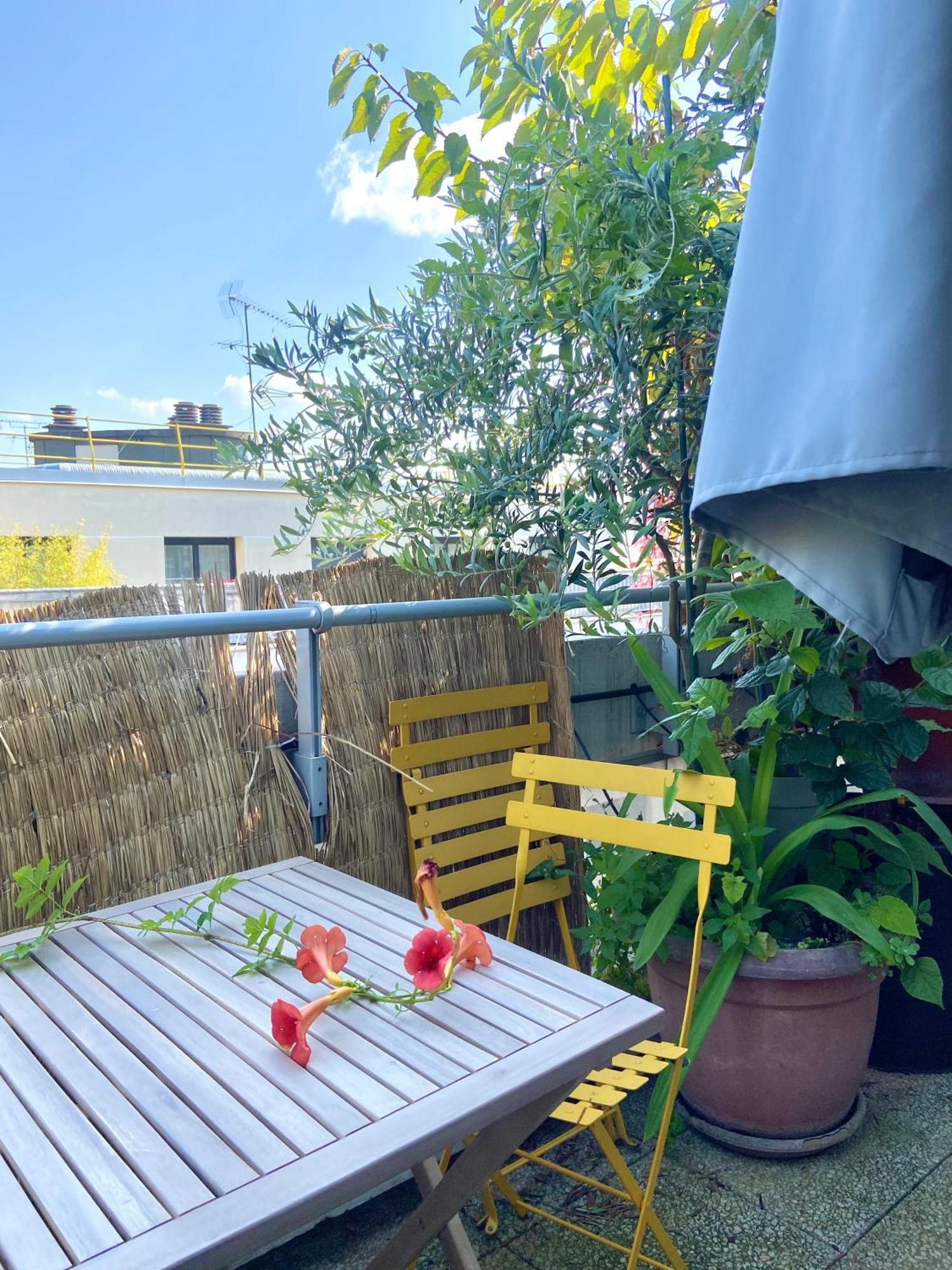 Appartement Avec Terrasse Parijs
